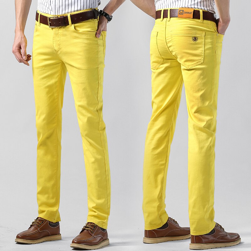 Modern colored men's trousers Troy